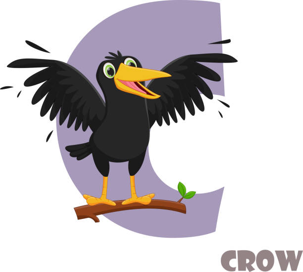 Detail Cute Crow Clipart Nomer 13