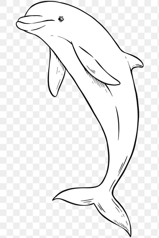 Detail Cute Dolphin Clipart Black And White Nomer 24