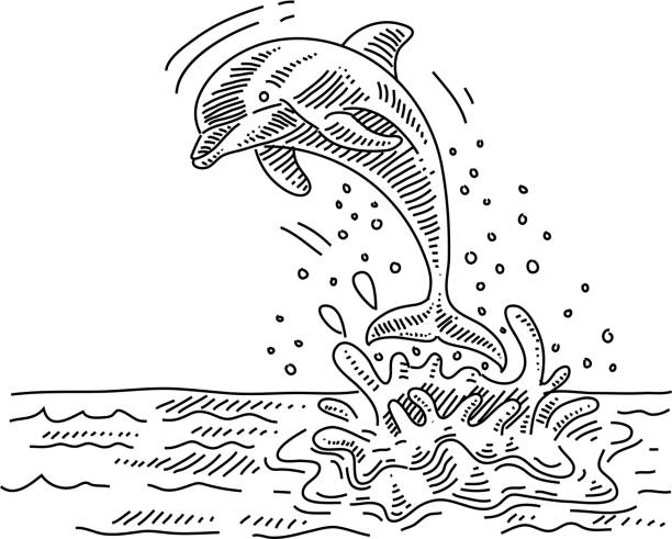 Detail Cute Dolphin Clipart Black And White Nomer 30