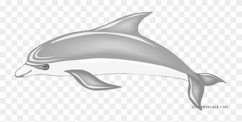 Detail Cute Dolphin Clipart Black And White Nomer 41