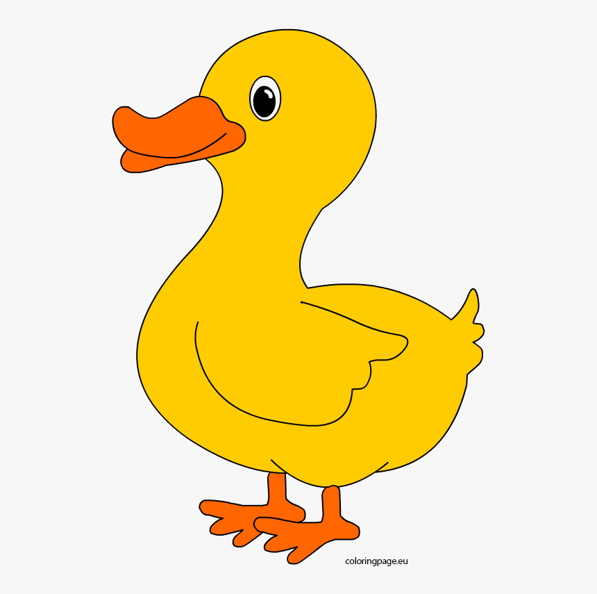 Detail Cute Duck Png Nomer 14