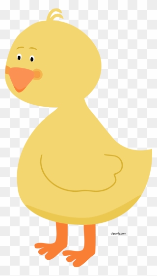 Detail Cute Duck Png Nomer 20