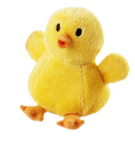 Detail Cute Duck Png Nomer 25