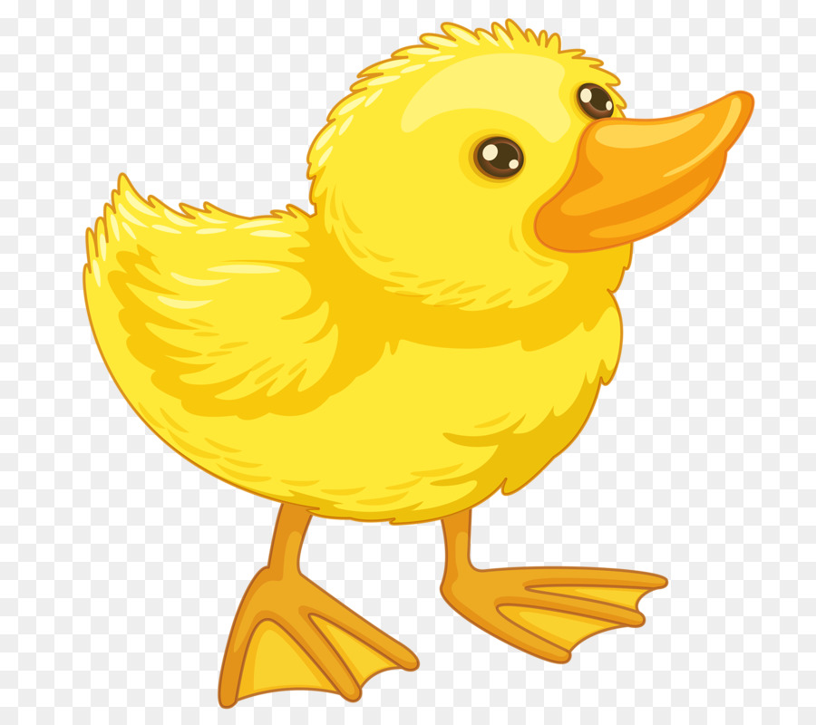 Detail Cute Duck Png Nomer 40