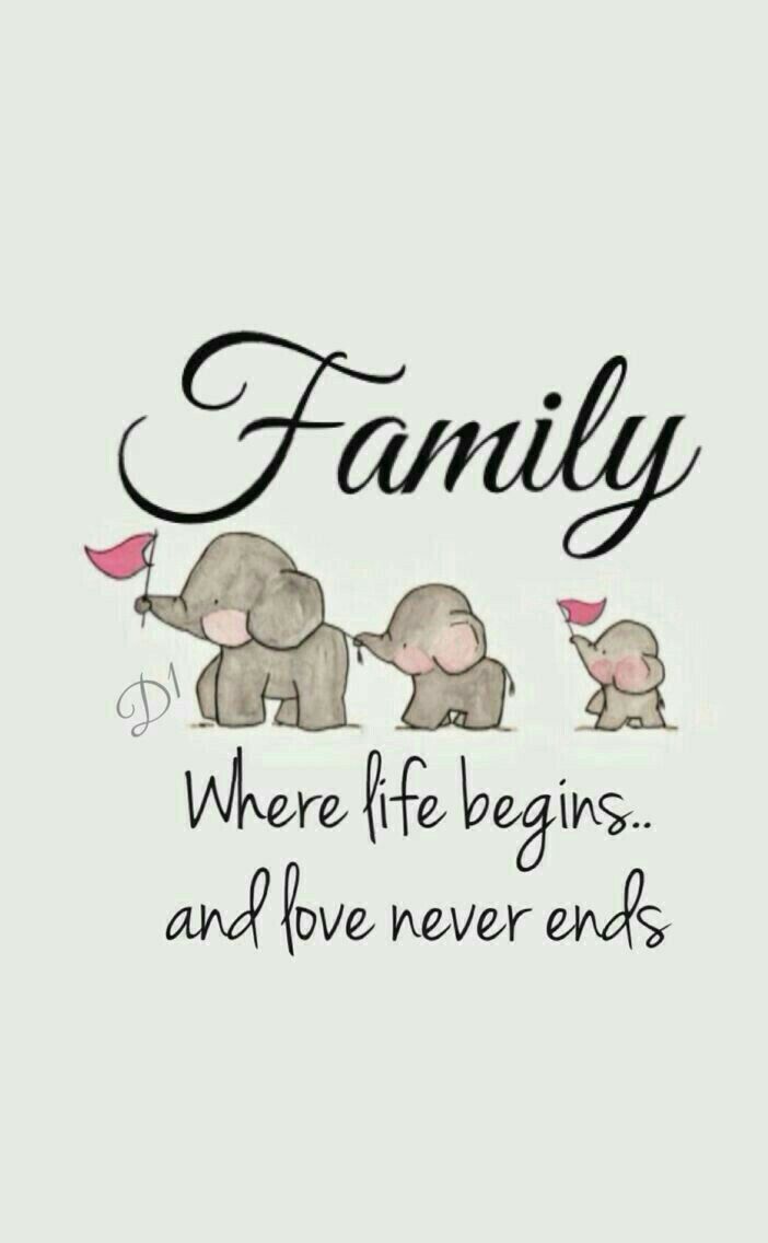 Detail Cute Family Quotes Nomer 2
