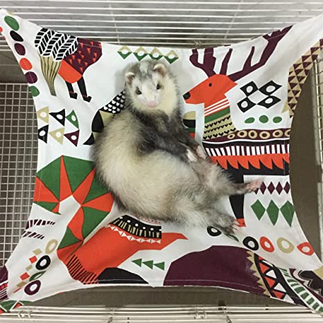 Cute Ferret Hammock - KibrisPDR