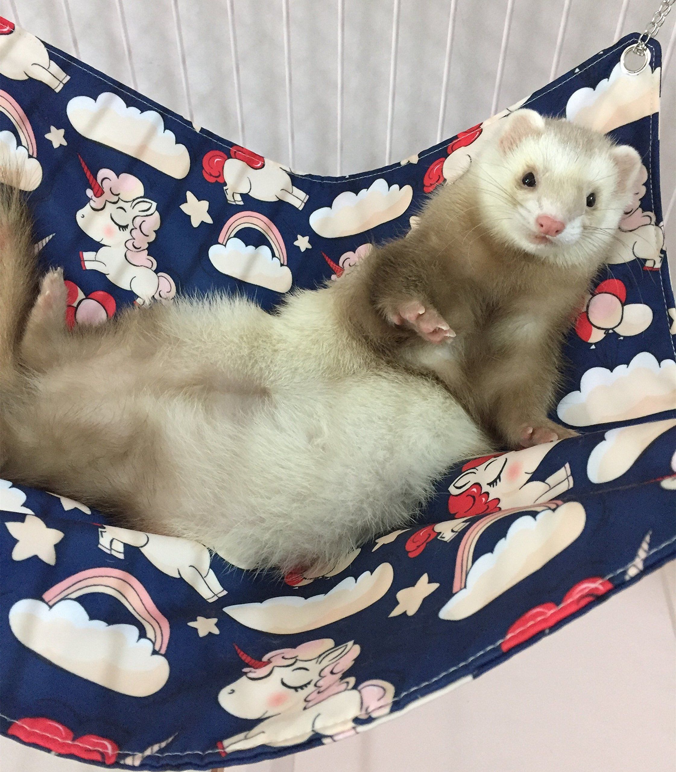 Detail Cute Ferret Hammock Nomer 14