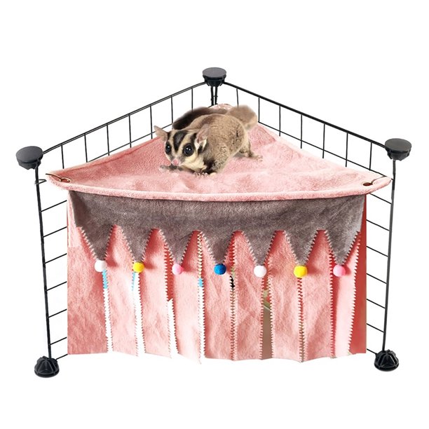 Detail Cute Ferret Hammock Nomer 21