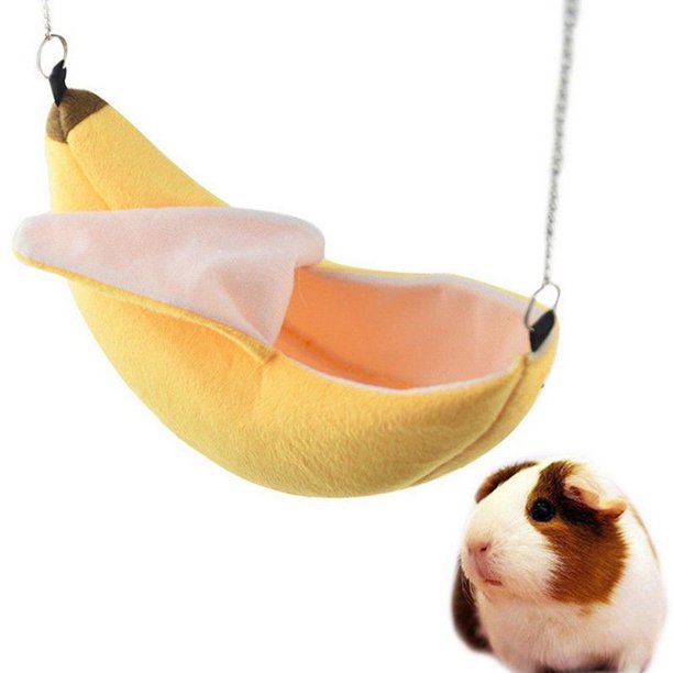 Detail Cute Ferret Hammock Nomer 24