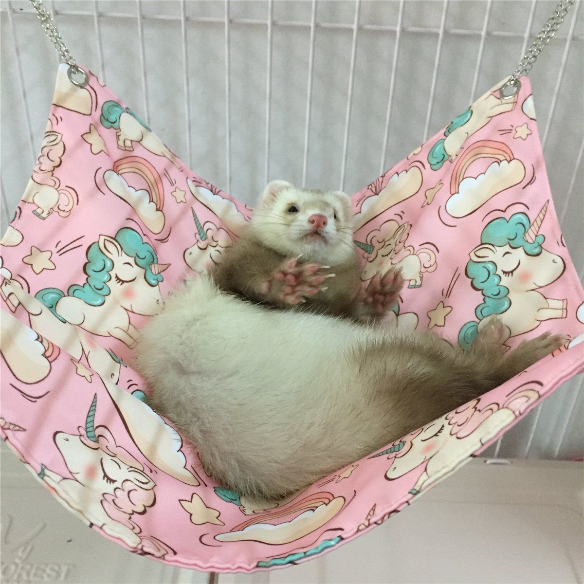 Detail Cute Ferret Hammock Nomer 28