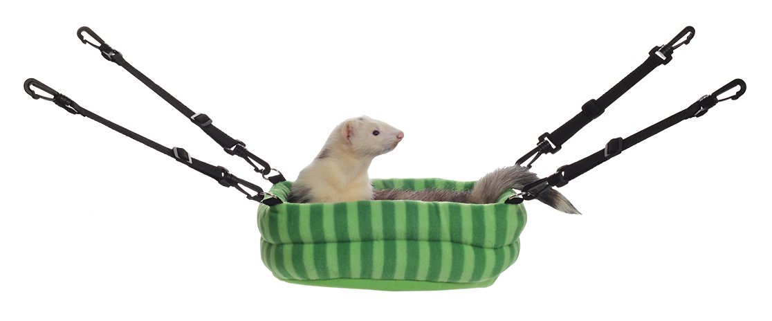 Detail Cute Ferret Hammocks Nomer 21