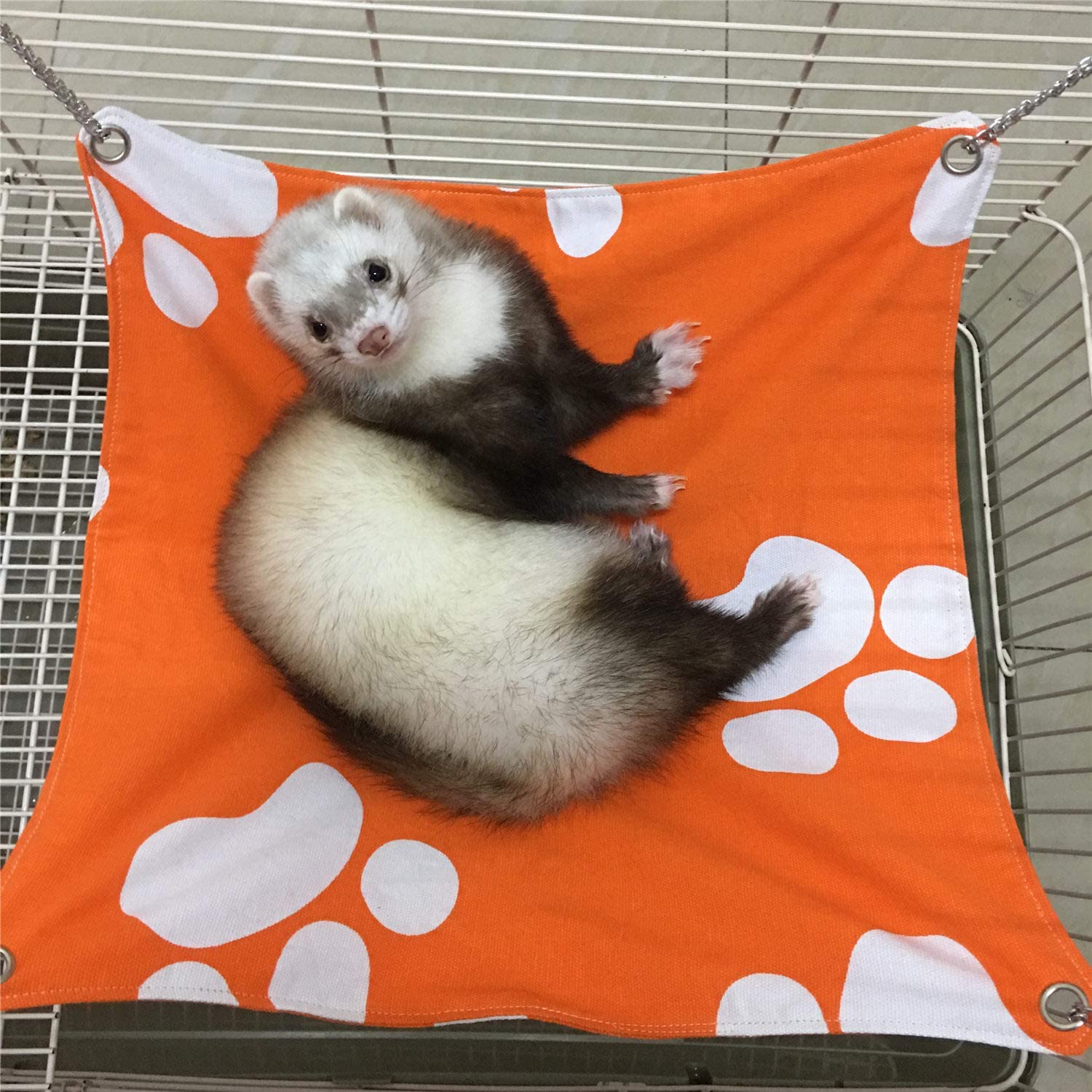 Detail Cute Ferret Hammocks Nomer 25