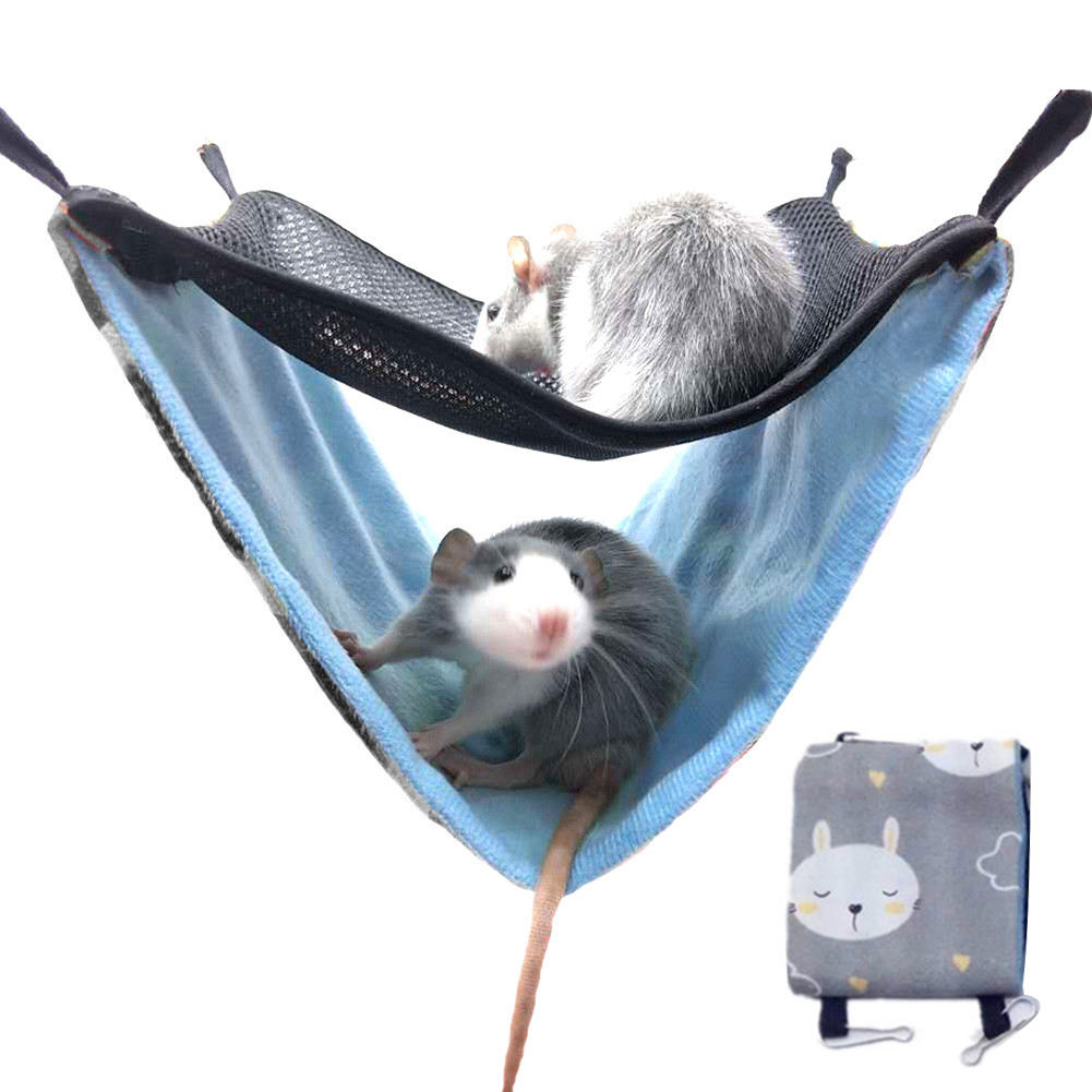 Detail Cute Ferret Hammocks Nomer 30