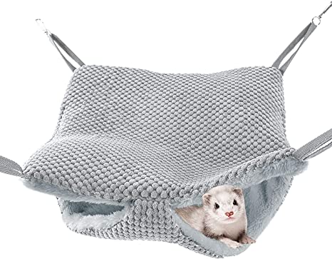 Detail Cute Ferret Hammocks Nomer 31