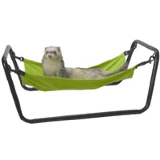 Detail Cute Ferret Hammocks Nomer 34