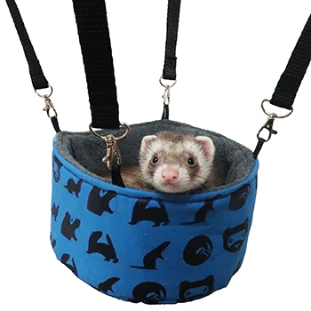 Detail Cute Ferret Hammocks Nomer 46