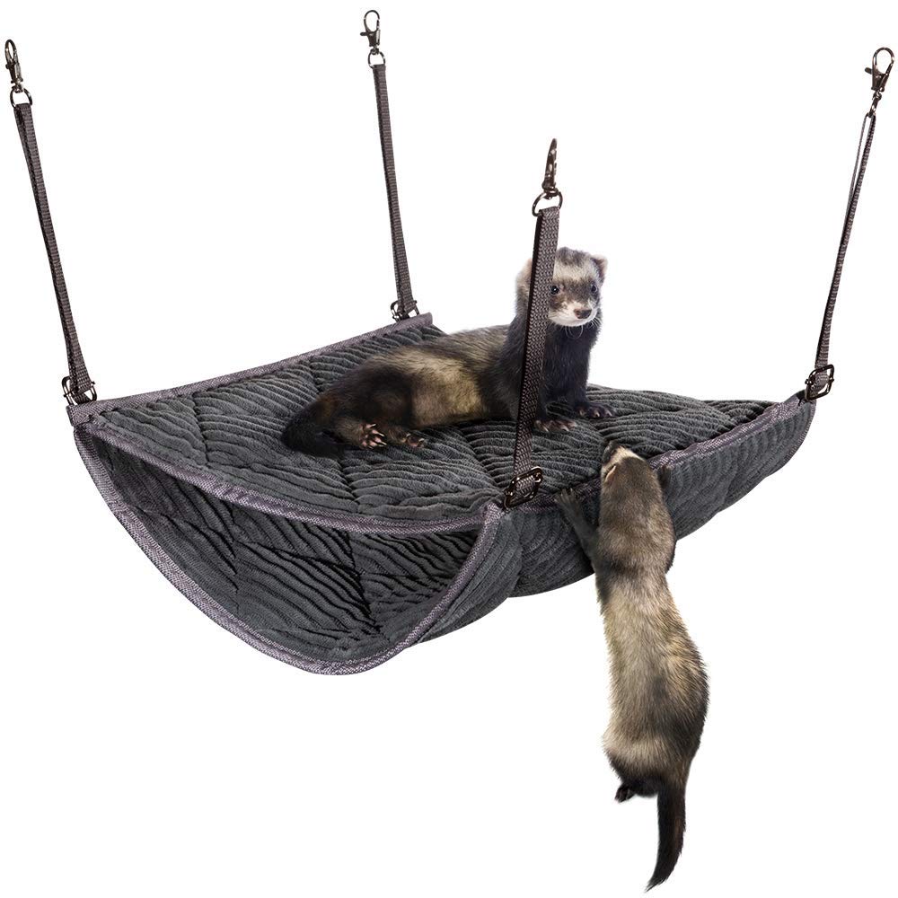 Detail Cute Ferret Hammocks Nomer 50