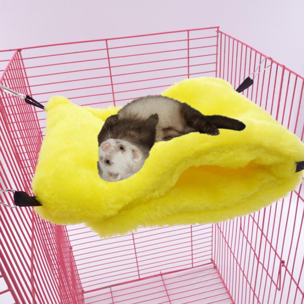 Detail Cute Ferret Hammocks Nomer 56