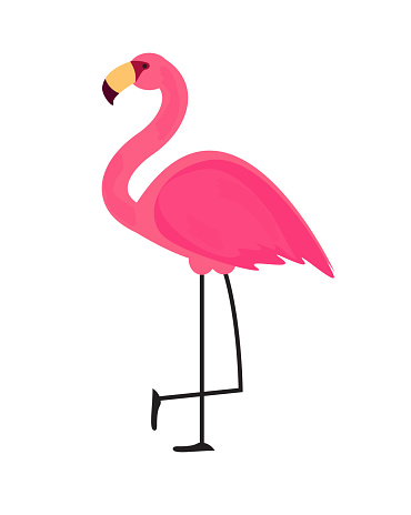 Detail Cute Flamingo Png Nomer 15