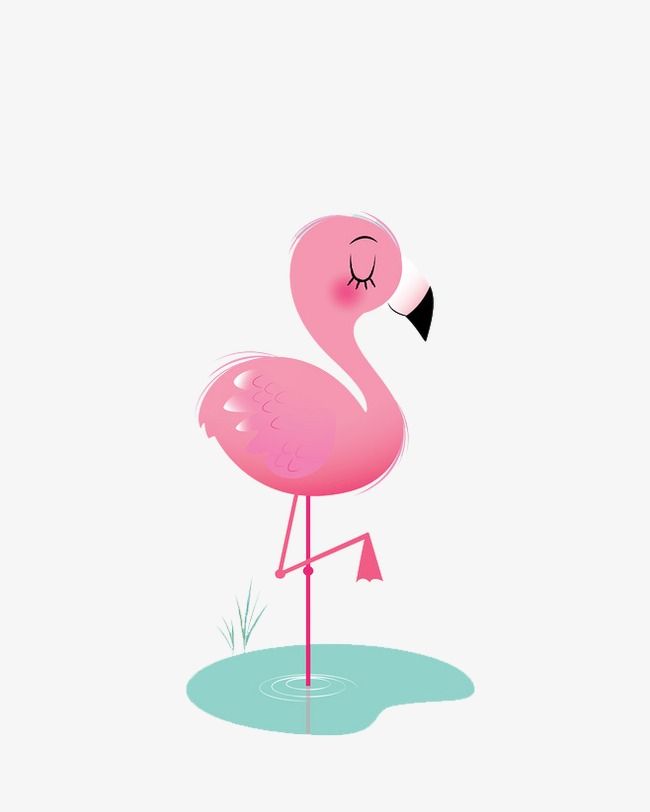 Detail Cute Flamingo Png Nomer 3