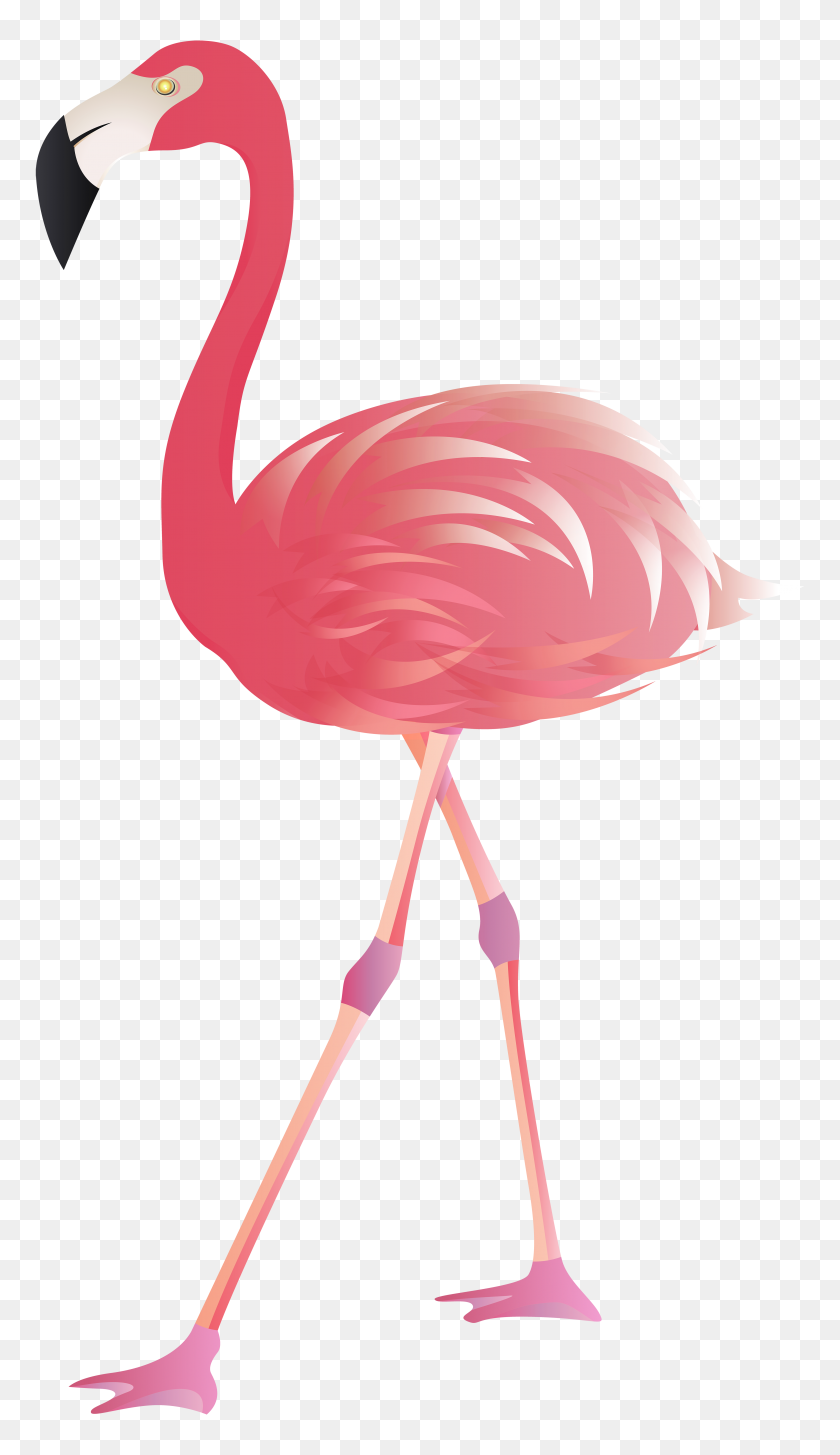 Detail Cute Flamingo Png Nomer 41