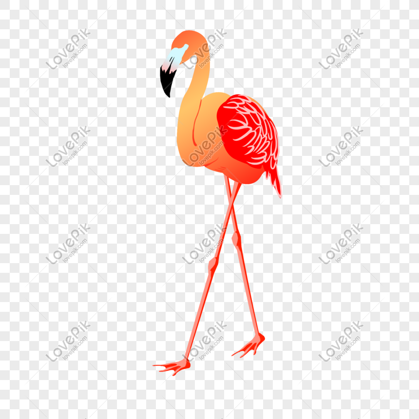 Detail Cute Flamingo Png Nomer 53