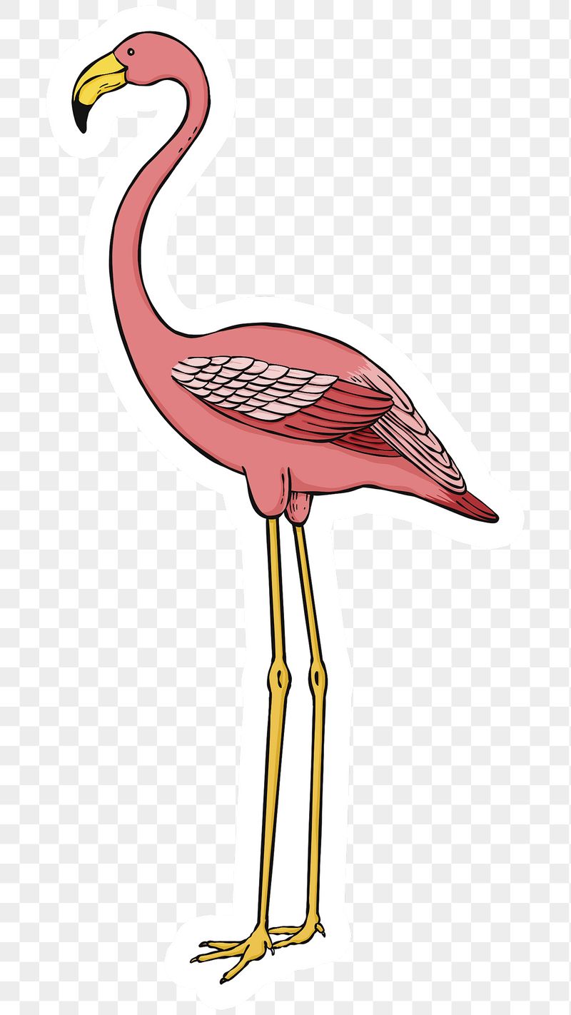 Detail Cute Flamingo Png Nomer 55