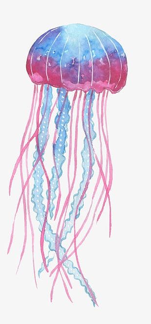 Detail Cute Jellyfish Clipart Nomer 39