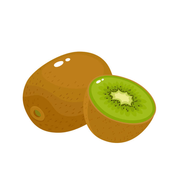 Detail Cute Kiwi Clipart Nomer 9