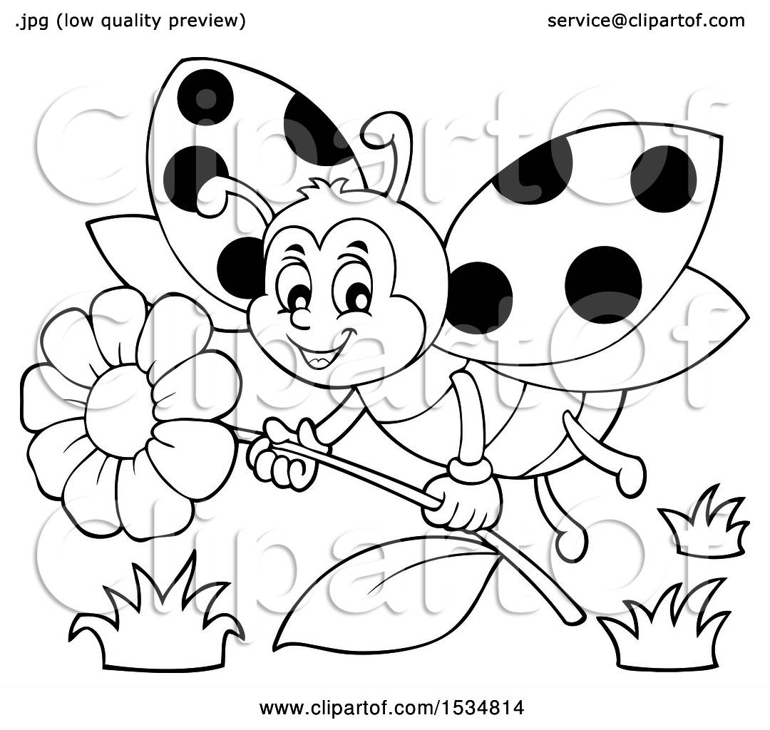 Detail Cute Ladybug Clipart Black And White Nomer 30