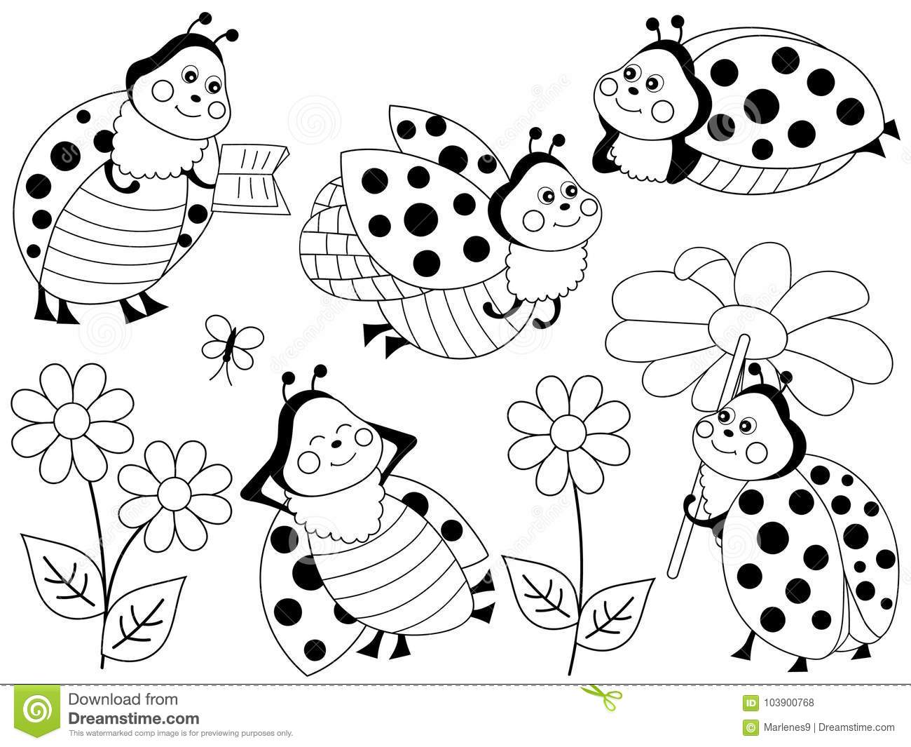 Detail Cute Ladybug Clipart Black And White Nomer 45