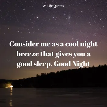 Detail Cute Night Quotes Nomer 26