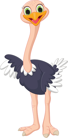 Cute Ostrich Clipart - KibrisPDR