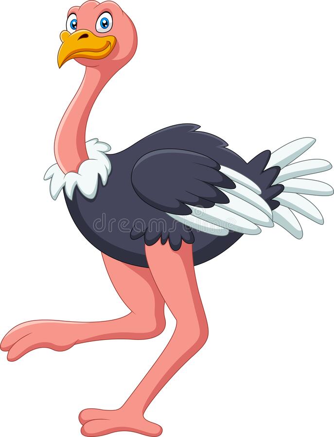 Detail Cute Ostrich Clipart Nomer 12