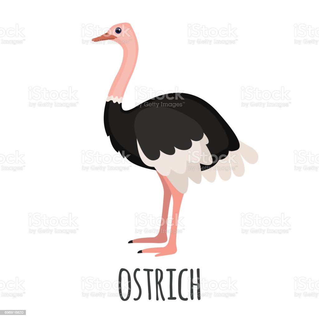 Detail Cute Ostrich Clipart Nomer 18