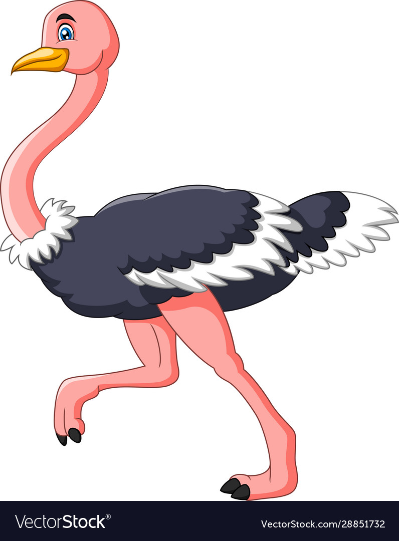 Detail Cute Ostrich Clipart Nomer 4