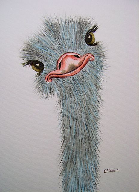 Detail Cute Ostrich Painting Nomer 24