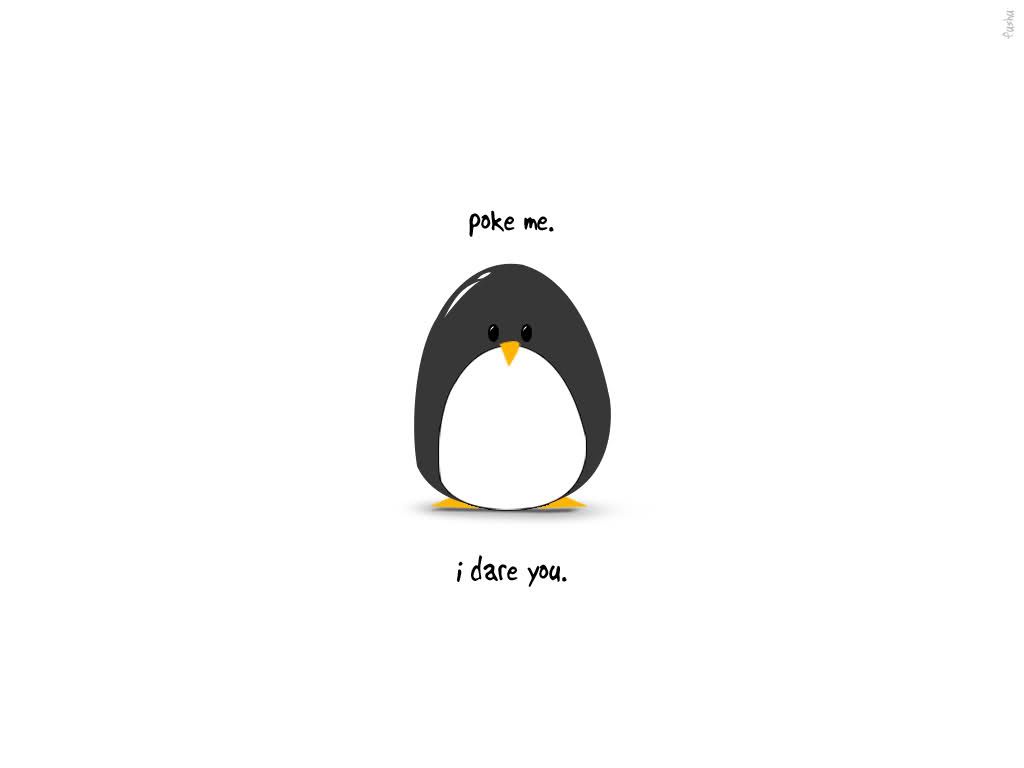 Cute Penguin Wallpaper - KibrisPDR