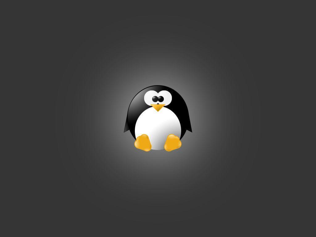 Detail Cute Penguin Wallpaper Nomer 27