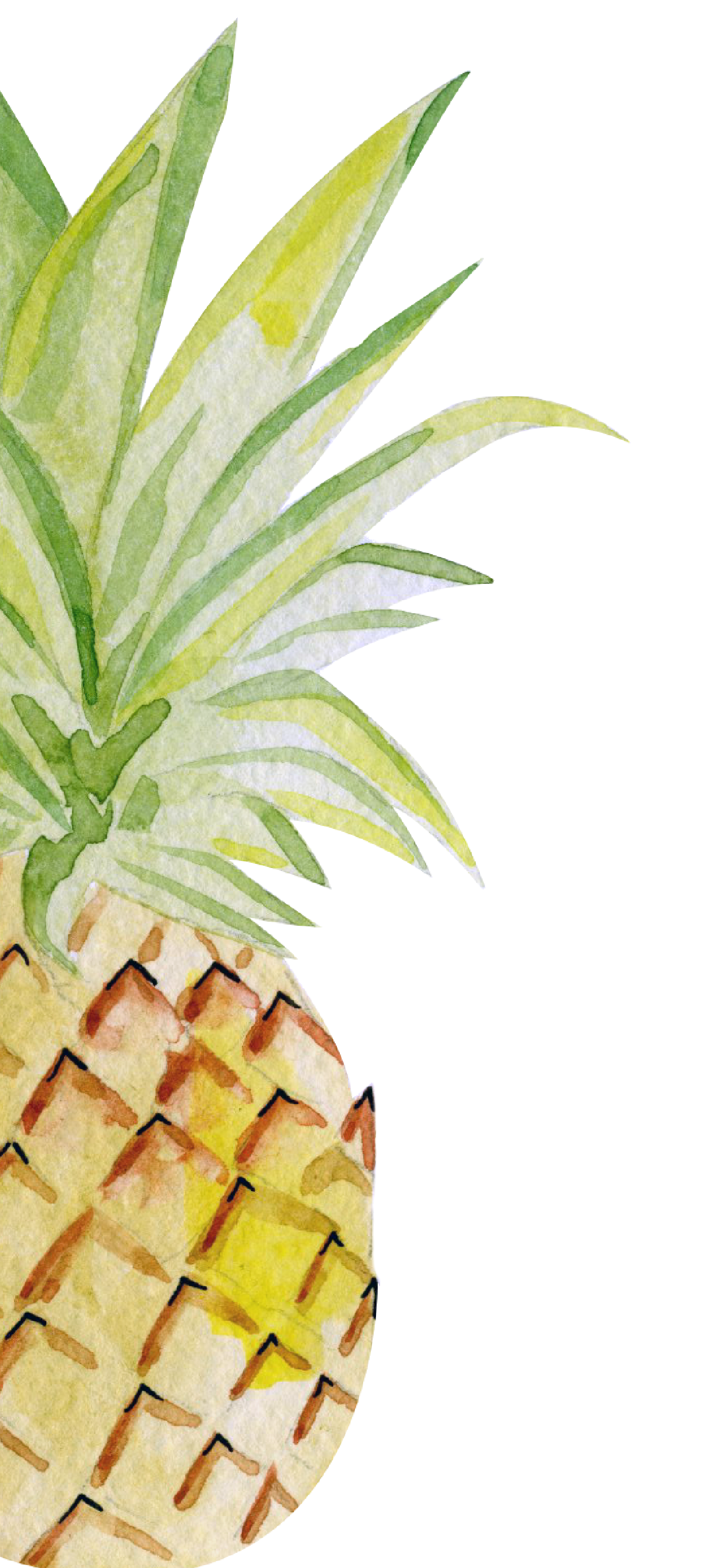 Detail Cute Pineapple Wallpaper For Iphone Nomer 19