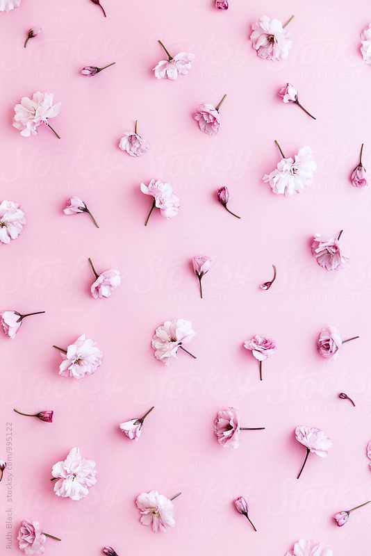 Detail Cute Pink Wallpaper Background Nomer 2