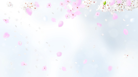 Detail Cute Pink Wallpaper Background Nomer 15