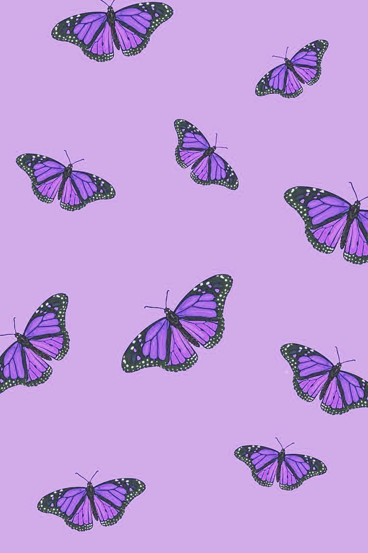 Detail Cute Purple Wallpaper Nomer 31