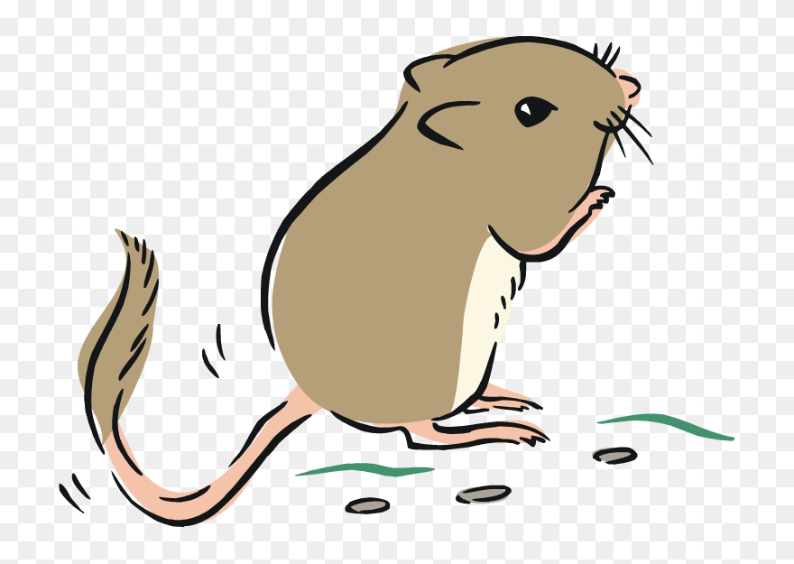 Detail Cute Rat Png Nomer 11