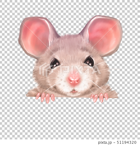 Detail Cute Rat Png Nomer 24