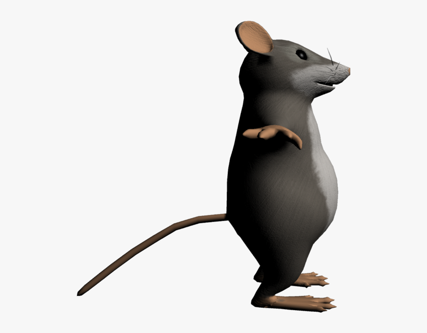 Detail Cute Rat Png Nomer 25