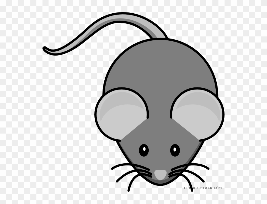 Detail Cute Rat Png Nomer 26