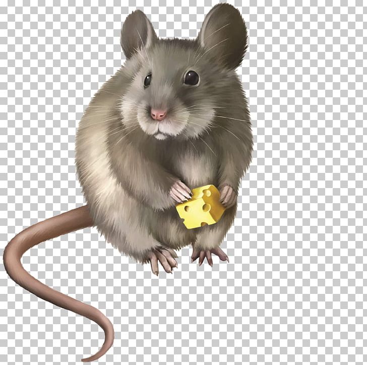 Detail Cute Rat Png Nomer 27