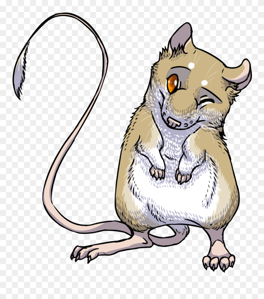 Detail Cute Rat Png Nomer 35