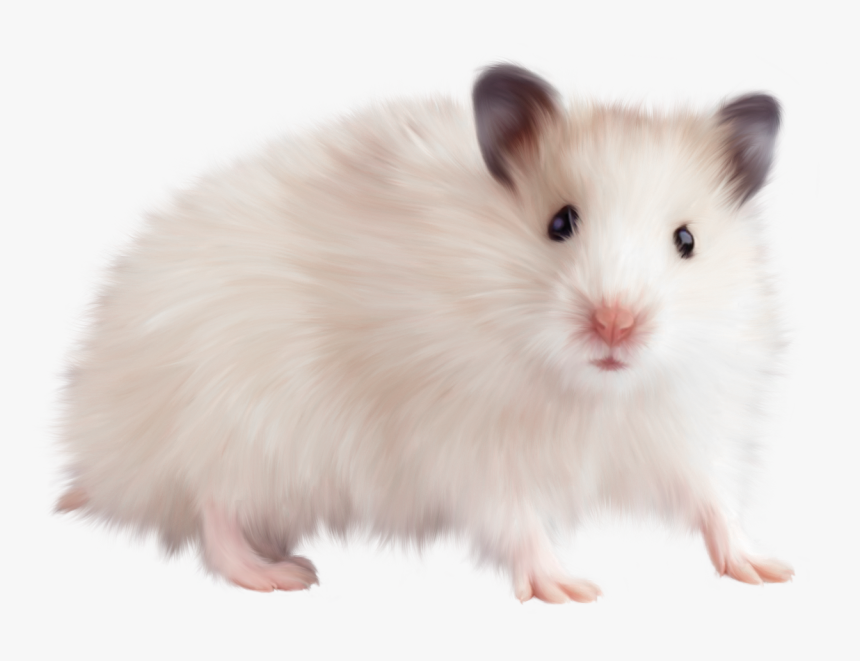 Detail Cute Rat Png Nomer 36